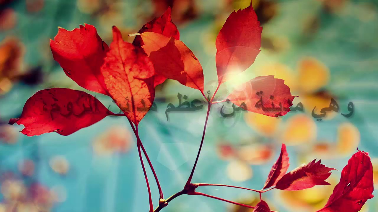 شرح حديث فتح قسطنطينية وخروج الدجال /الشيخ سليمان الرحيلي