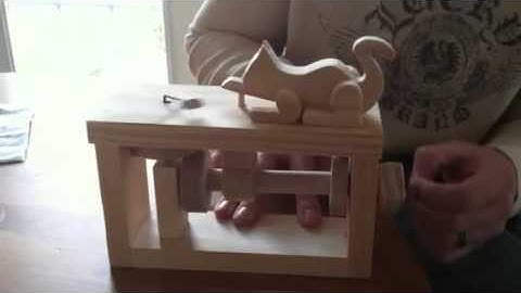 Cat and mouse Automata