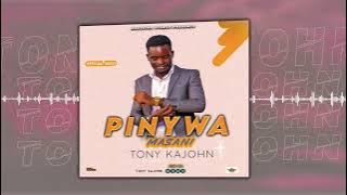 Tony Kajohn   Pinywa Masani    Audio