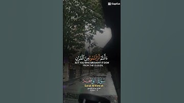 تلاوة للشيخ عبدالله الموسى ماتيسر من سورة الواقعة