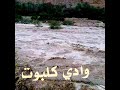 ابوبكر يامسافر ع البلاد روحي وقلبي كلبوت بارعيده الحسني