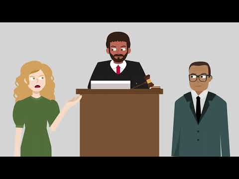 Levka v. City of Chicago Case Brief Summary | Law Case Explained