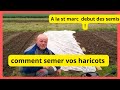 25 avril au jardin : comment semer vos premiers haricots ?