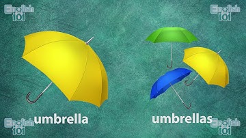 Basic- Lesson 4 (Adding “s” to mean more than one)