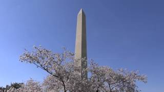 Washington DC - Washington Monument HD (2014)
