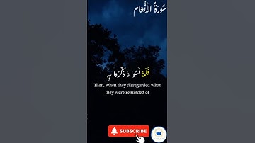 صلوا على النبي  ﷺ تُرفع درجاتكم 🤲#quran #اسلام #قرآن #راحة_نفسية #سورة_الأنعام