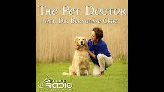 PetLifeRadio.com - The Pet Doctor - Episode 67 Canine Influenza