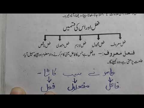 Class 10 urdu fail maroof fail majhool fail lazim fail mutadi Nawa e urdu ncert