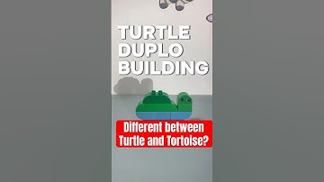 How to build Tortoise Duplo Animals. #legoduplo #tortoise #animalsforkids #turtle