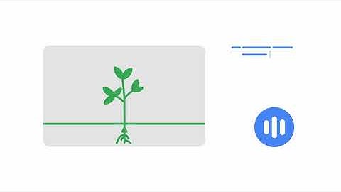 Screencast on Chromebook - Getting started - Transcript tools - Demo
