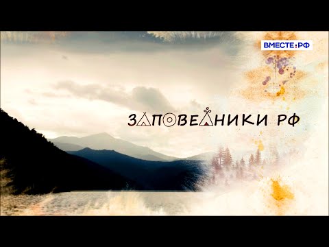 Поиски снежного барса в Саяно-Шушенском заповеднике. Заповедники РФ