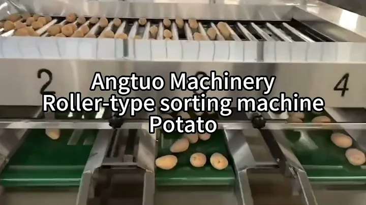 Efficient Roller Type Sorting Machine | Automatic Fruit & Vegetable Grading Solution