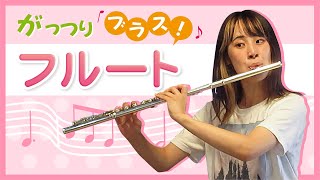 【美品】SELVA フルート SELVA (セルバ) 初心者向けフルート入門セット FLUTE SFL-100