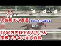 大井競馬の八百長について解説