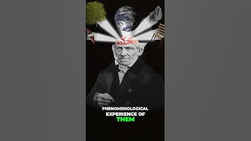 Unlocking the Secrets of Schopenhauer