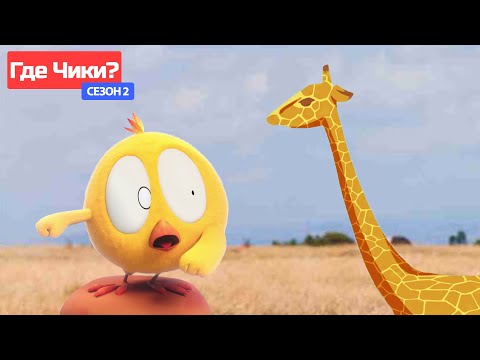 Где Чики? 🐥 Chicky НОВАЯ СЕРИЯ! | ЧИККИ В ДЖУНГЛЯХ 🦒 Сборник мультфильмов на русском языке