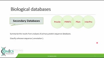 biological  databases used in Bioinformatics