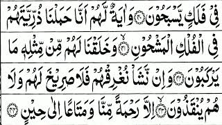 Surah Yasin Yaseen   Abdul Wadood Haneef   Al Quran Recitation With Arabic Text screenshot 5