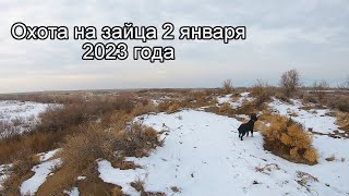 Первый выезд в 2023 году. Охота состоялась.