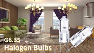 LEDLIGHTONE 50W GY6.35/G6.35 Halogen Light Bulb (12-Pack)