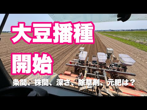大豆播種始まりました。今年の耕種概要。2024年6月12日 - YouTube