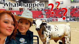 First round bullriding at INFR (afternoon &amp; evening performance)