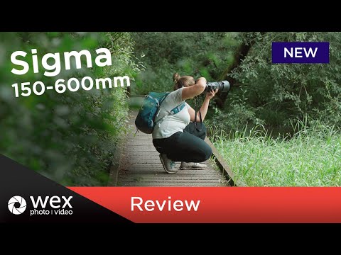 Exploring Wildlife with the Sigma 150-600mm f/5-6.3 DG DN OS Sports