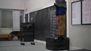 Low Box Reactive Jump