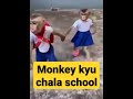 Monkey kyu chala school #shorts