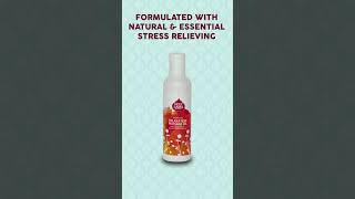 Relaxation Massage Oil