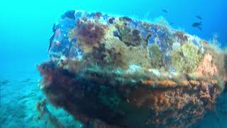 Buceo en el pecio San Francisco (Calabardina-Murcia)