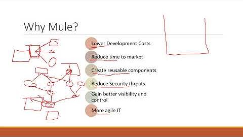 Part 4 MuleSoft in Amharic Language  Problem Definition and why Mule