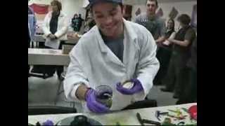 MSU students, faculty and community feast on Bug Buffet