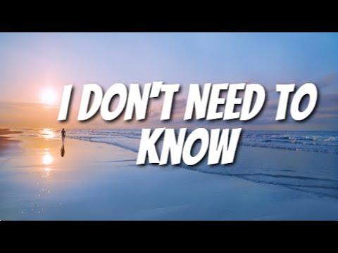 Ver Stevie Hoang - I Dont Need To Know (Lyrics) no YouTube
