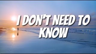 Stevie Hoang - I Dont Need To Know (Lyrics)