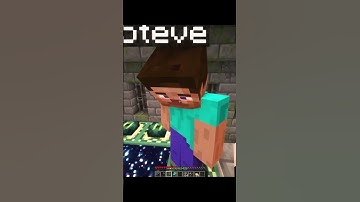 Steve turned the Ender Dragon into toast