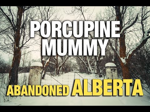 The Porcupine Mummy-Abandoned House-Urban Exploration Alberta (URBEX)