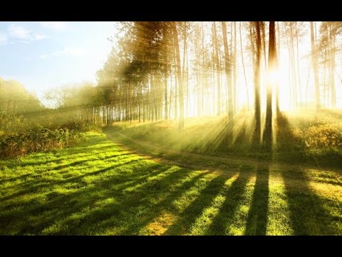 ماشى فى نور الله