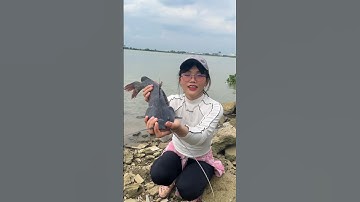 Câu cá đổi thịt bò 😆 #mayfishing #fishing #caucathiennhien #cauca #fish #food #caucagiaitri #cá