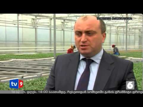 ახალი 6 | საჩითილე მეურნეობა | 25.04.13