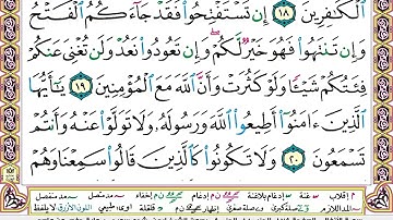 سورة الأنفال مكتوبه / بصوت الشيخ ايمن رشدي سويد - برواية حفص عن عاصم