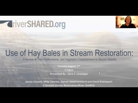 Use of Hay Bales in Stream Restoration: A Review of their Performance, and Vegetation Establishment