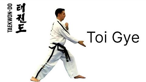 Toi Gye #taekwondo