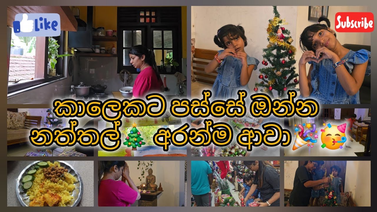 ගොඩ කාලෙකට පස්සේ ඔන්න ඔයාලව බලලා යන්න ආවා🎄🥳🎉✨️#dayinmylife #withkids #cooking #home #xmas #vlog 