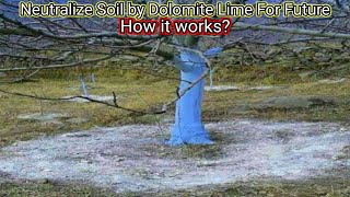 Lime Application before applying fertilizer || Magray Orchards