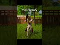 siempre digo ayudaaa jsjs #fortniteshorts #fortnitegracioso #fortnitebattleroyale #fortnite
