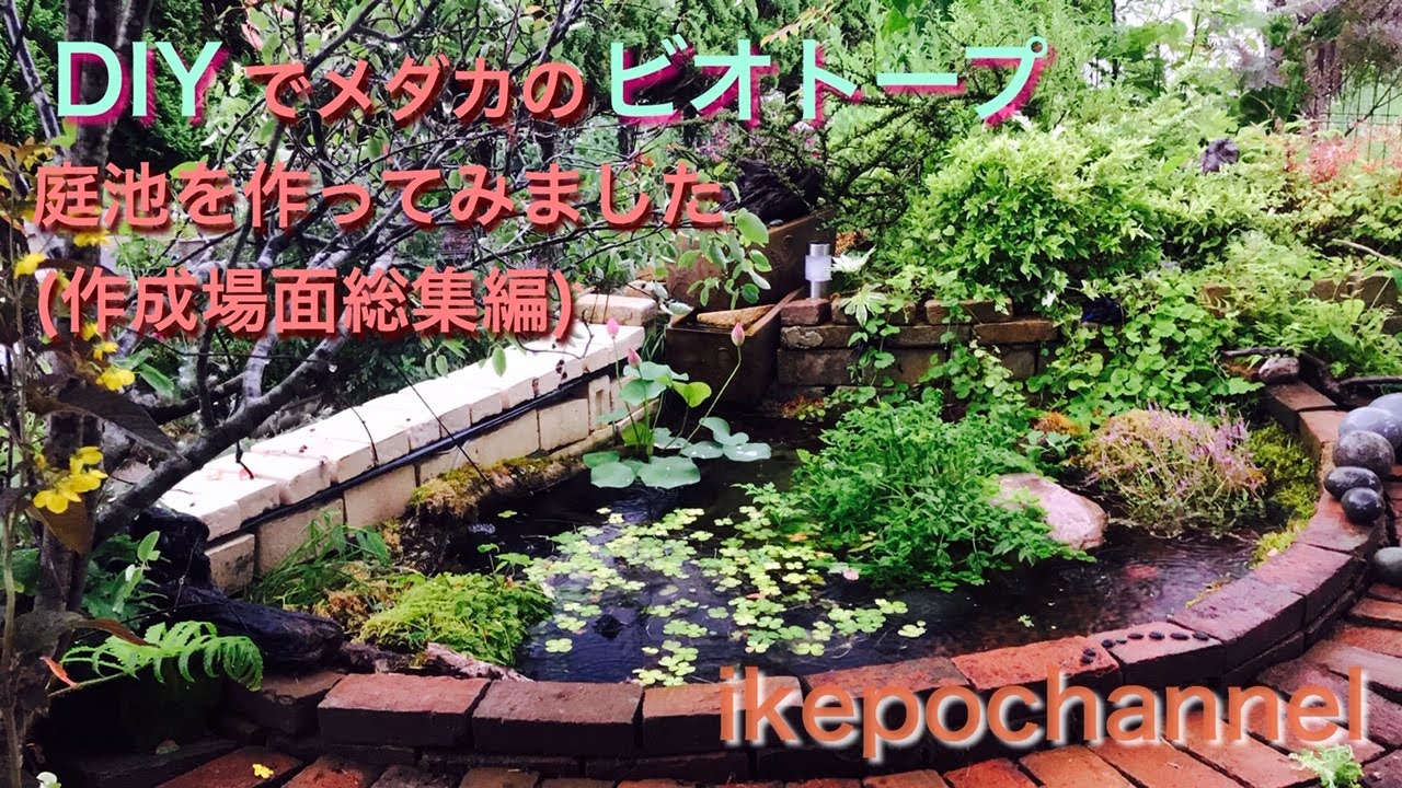 Diyでガーデニングの花壇の隣にめだかのビオトープ 庭池を作ってみました 作成場面総集編 I Tried To Make A Biotope Garden Pond For Medaka Youtube