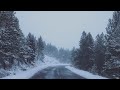 You Aren't Failing. This Is Your Winter.