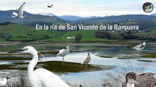 Ría de San Vicente de la Barquera - 1ª Parte.