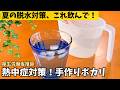 【厚労省がすすめる】管理栄養士が夏に必ず作る「熱中症予防ドリンク」
